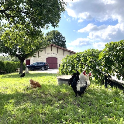 Propriété Du Clos De Bigos, Vignoble à Soussans