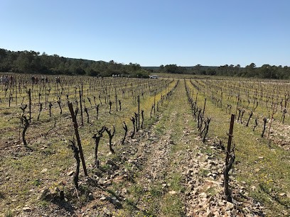Domaine De Coursac, Vignoble à Carnas