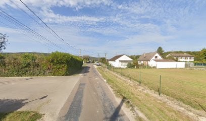 Henriot Nicolas, Vignoble à Polisot