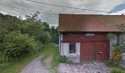 Marche Gourmande à Thannenkirch, Vignoble à Thannenkirch