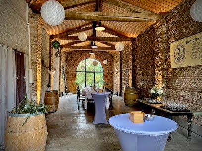 La Colombière - Le Vignoble, Vignoble à Villaudric