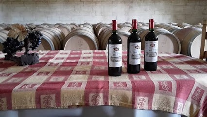 Château La Croix Saint André, Vignoble à Néac