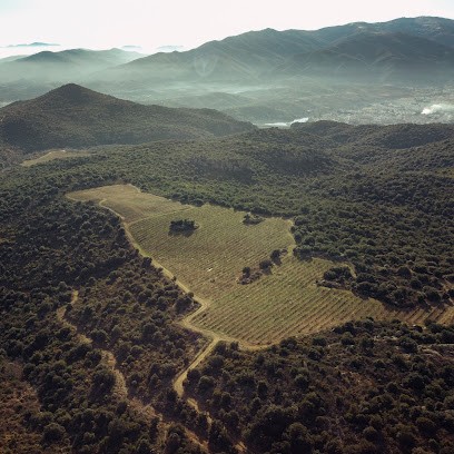 Domaine Des Trois Orris, Vignoble à Tarerach
