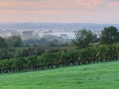 Vignoble Mingot, Vignoble à Savignac-de-l'Isle