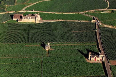 Château De La Tour - Clos De Vougeot, Vignoble à Vougeot