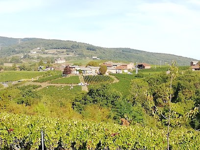 Domaine Romuald Petit, Vignoble à Saint-Vérand