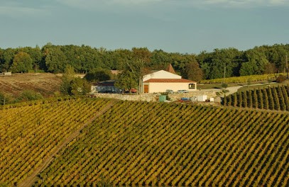 Château Sauvagnères AOC BUZET, Vignoble à Sainte-Colombe-en-Bruilhois