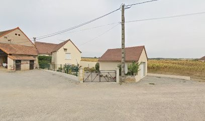 Domaine Jallet Sadot, Vignoble à Saulcet