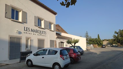 Les Vignerons du Plan de la Tour, Vignoble au Plan-de-la-Tour