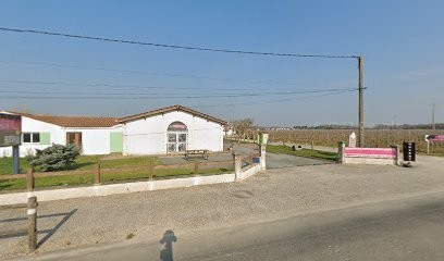 GUY VIDEAU, Vignoble à Saint-Pierre-d'Oléron