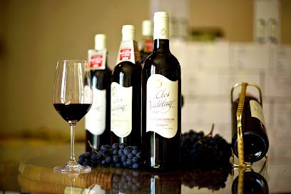 Clos Védélago, Vignoble à Puisseguin