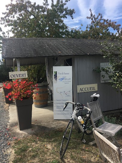 DOMAINE LES MERIBELLES Monsieur Dézé, Vignoble à Souzay-Champigny