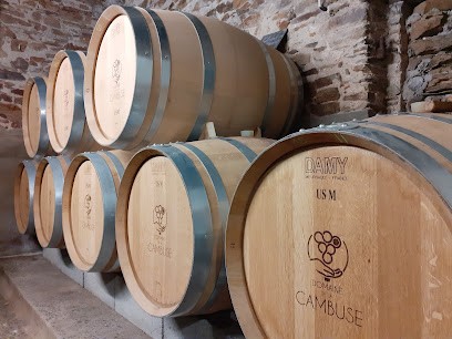 Domaine de la Cambuse, Vignoble à Orée d'Anjou