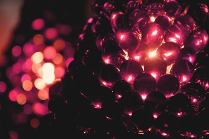 La Maison Vougeot, Vignoble à Vougeot