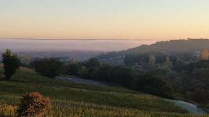 Chateau Le Tap, Vignoble à Saussignac