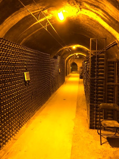 Champagne Ernest Remy Grand Cru, Vignoble à Mailly-Champagne