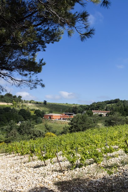 Domaine De Lucena, Vignoble à Visan