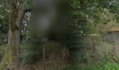 Séverin Yoann, Vignoble à Saint-Martin-du-Bois