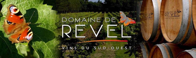 Domaine De Revel - Earl Papyllon, Vignoble à Vaïssac