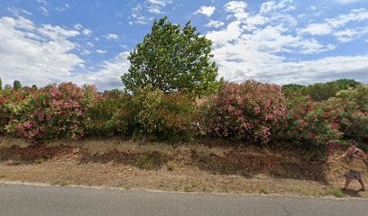 Domaine Souyris, Vignoble à Saint-Félix-de-Lodez