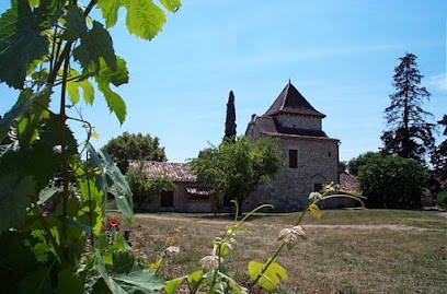 Château Vent D'Autan, Vignoble à Bagat-en-Quercy