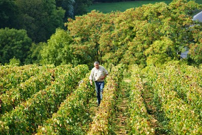 Domaine Bonnardot, Vignoble à Bonnencontre