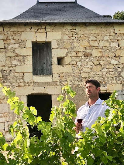 Domaine Sébastien Wucher, Vignoble à Bourgueil