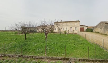 Château VOSELLE Isabelle Simon, Vignoble à Néac
