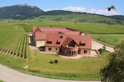 Marc KOEBERLE BLEGER Vigneron Indépendant Ouvert Sur Rendez Vous, Vignoble à Saint-Hippolyte