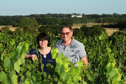 Domaine Les Vaucorneilles, Vignoble à Veuzain-sur-Loire