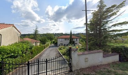 Champagne Richardot, Vignoble à Castres