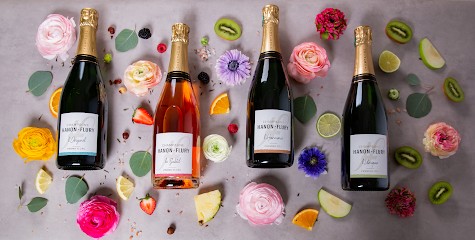 Champagne Hanon-Flury, Vignoble à Sermiers