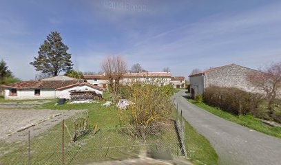 Moreau Fabrice, Vignoble à Saint-Seurin-de-Palenne