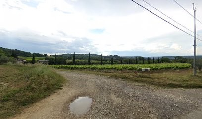 Eymard François, Vignoble à Saint-Julien-de-Peyrolas