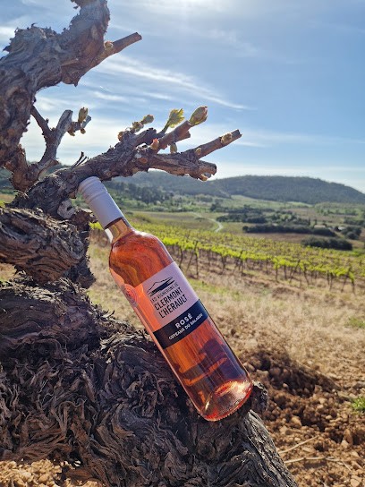 Cave Cooperative Vinification, Vignoble à Clermont-l'Hérault