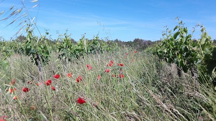 Vins Folle Avoine, Vignoble à Vendargues