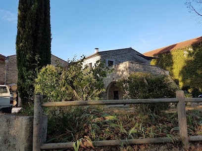 Chateau De Cazeneuve, Vignoble à Lauret