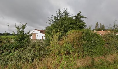Douillard Bernard, Vignoble à Saint-Lumine-de-Clisson