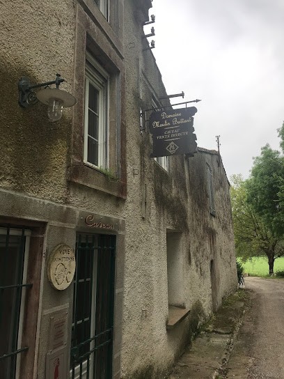 Domaine Moulin Battant, Vignoble à Villalier