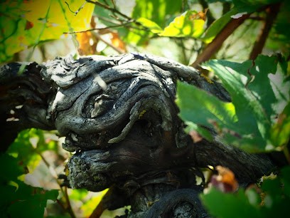 Petite Nature, Vignoble à Quintenas