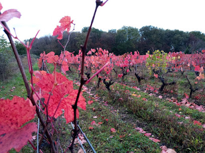 Domaine De L'instinct Vignoble à Sassay
