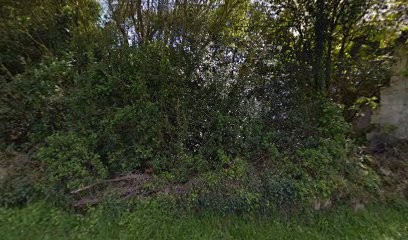 DE COURNUAUD EARL, Vignoble à Saint-Michel-de-Fronsac