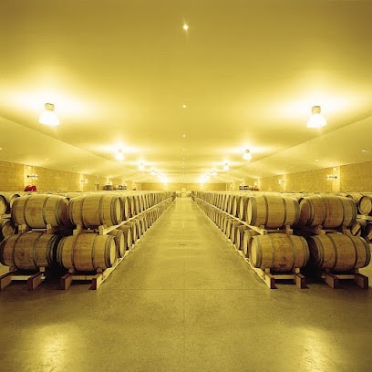 Château Peyrabon, Vignoble à Saint-Sauveur