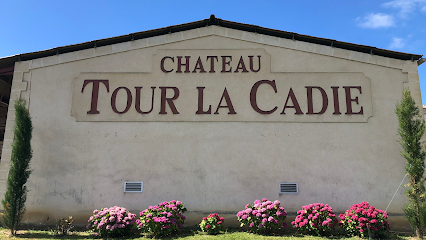 Chateau Tour La Cadie Vignoble à Mouliets-et-Villemartin
