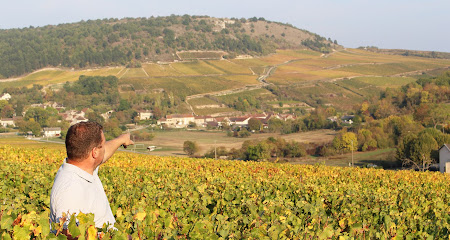 Fornerot Jérôme Vignoble à Saint-Aubin