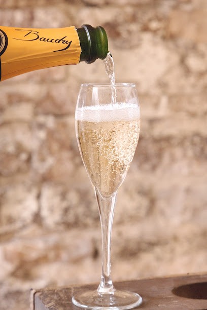 Champagne BAUDRY, Vignoble à Neuville-sur-Seine