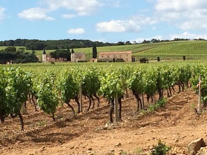 Château De La Haute Cassagne, Vignoble à Saint-Gilles
