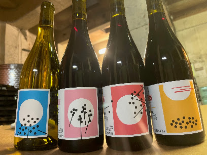 Hugo Saulnier-Blache Vignoble à Lagrasse