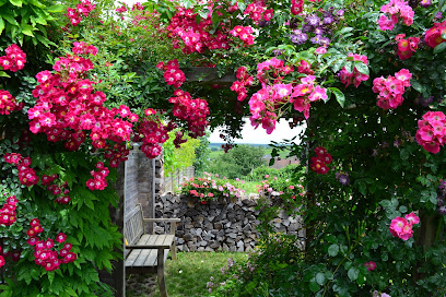 Domaine Flühr-Ohlenburg Vignoble à Pfaffenheim