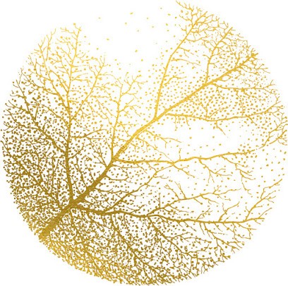 Du Vin à l'Âme - Caroline & Alexandre Savoye Stehly, Vignoble à Gleizé